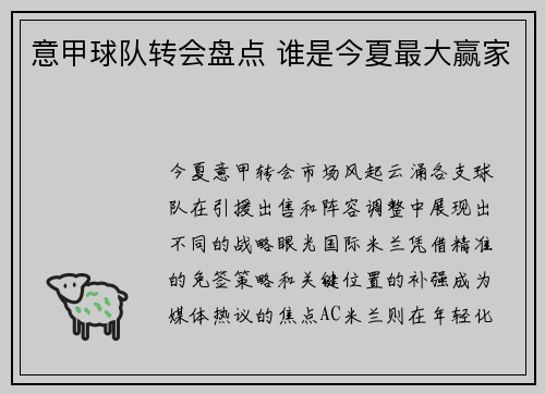 意甲球队转会盘点 谁是今夏最大赢家